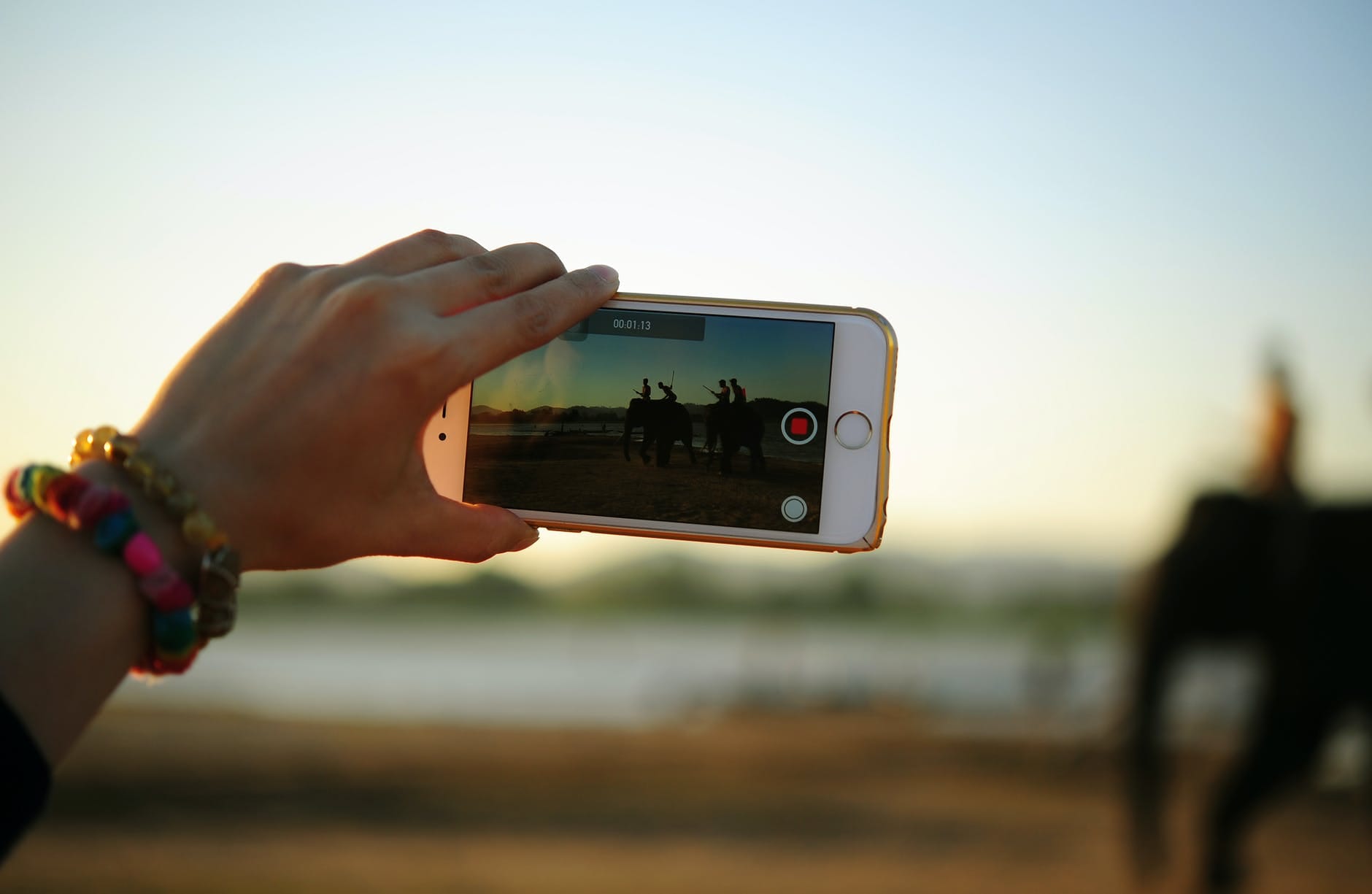 person taking photo of elephants