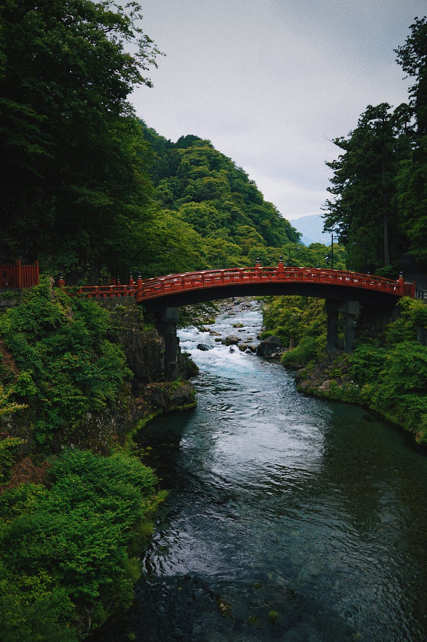 brown concrete bridge between trees