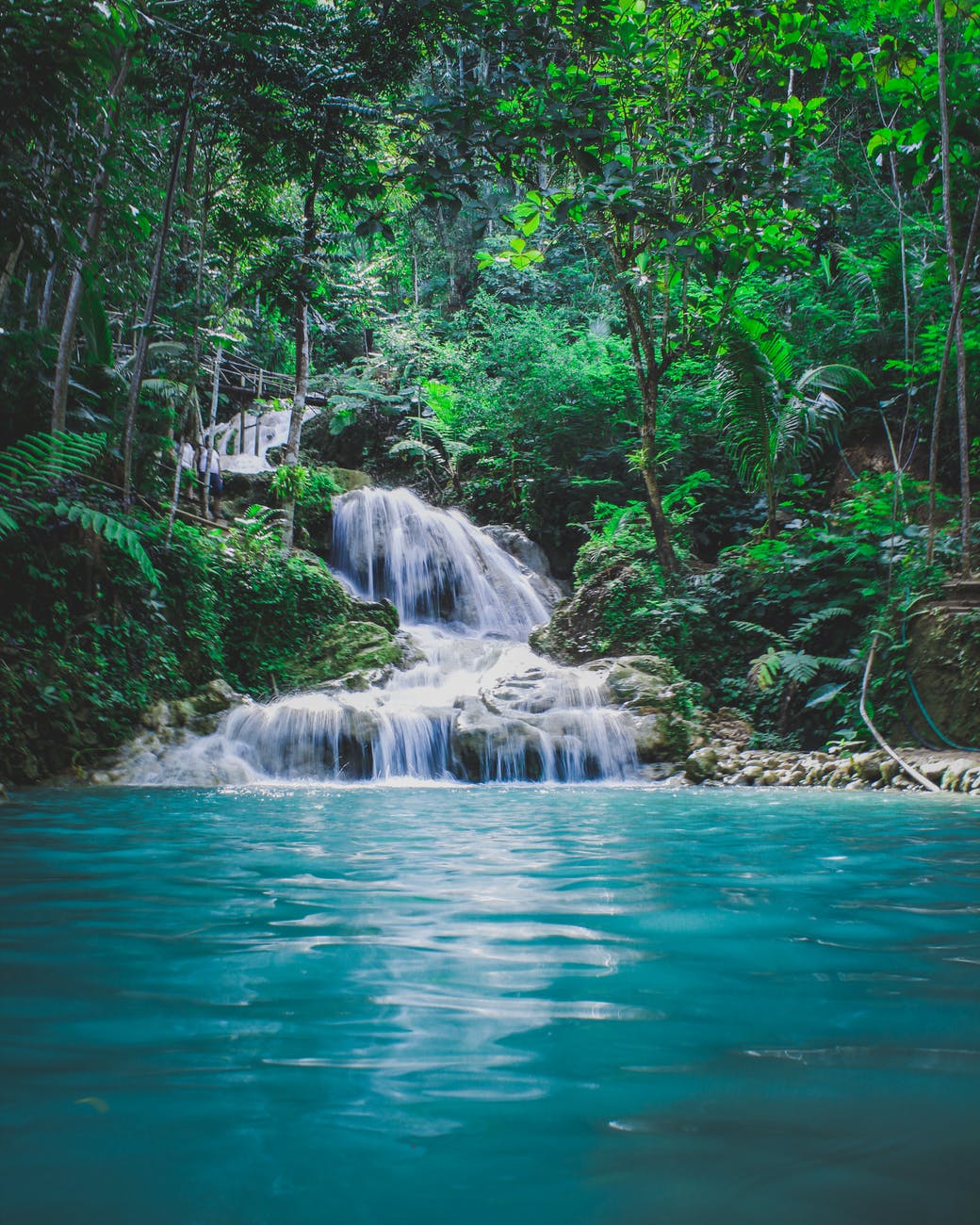 photography of waterfalls between trees