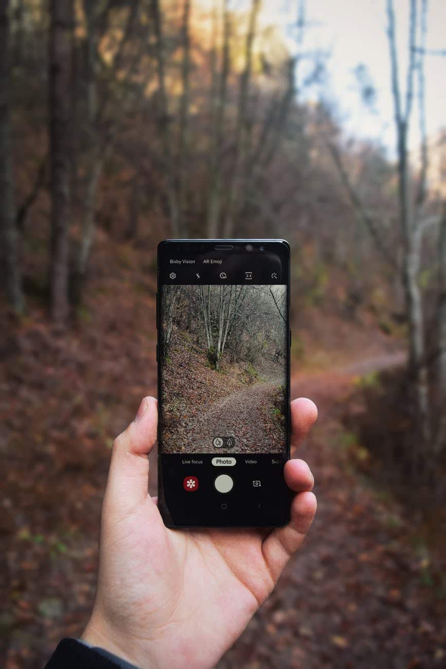 photo of person holding mobile phone