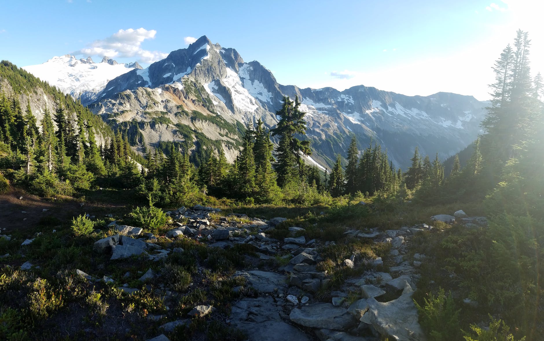 green forest near mountain range under clear sky